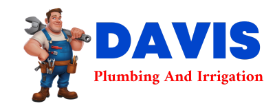 Trusted plumber in SECTION